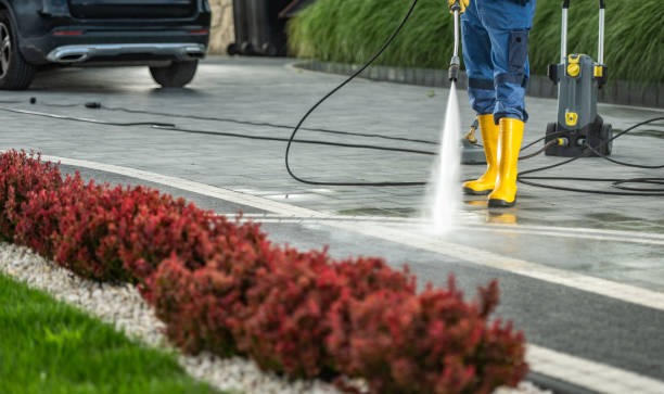 Best Driveway Cleaning and Restoration in Omaha, TX